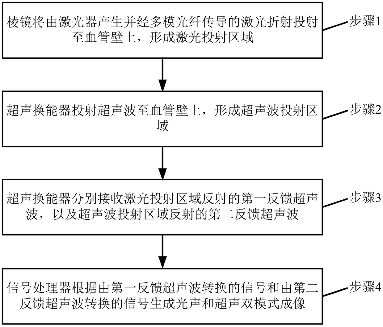 Blood vessel endoscopic imaging probe and imaging method