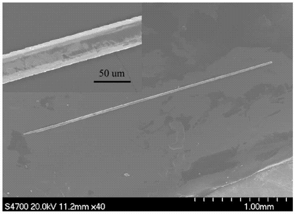 A flexible strain sensor based on ultralong tellurium microwires