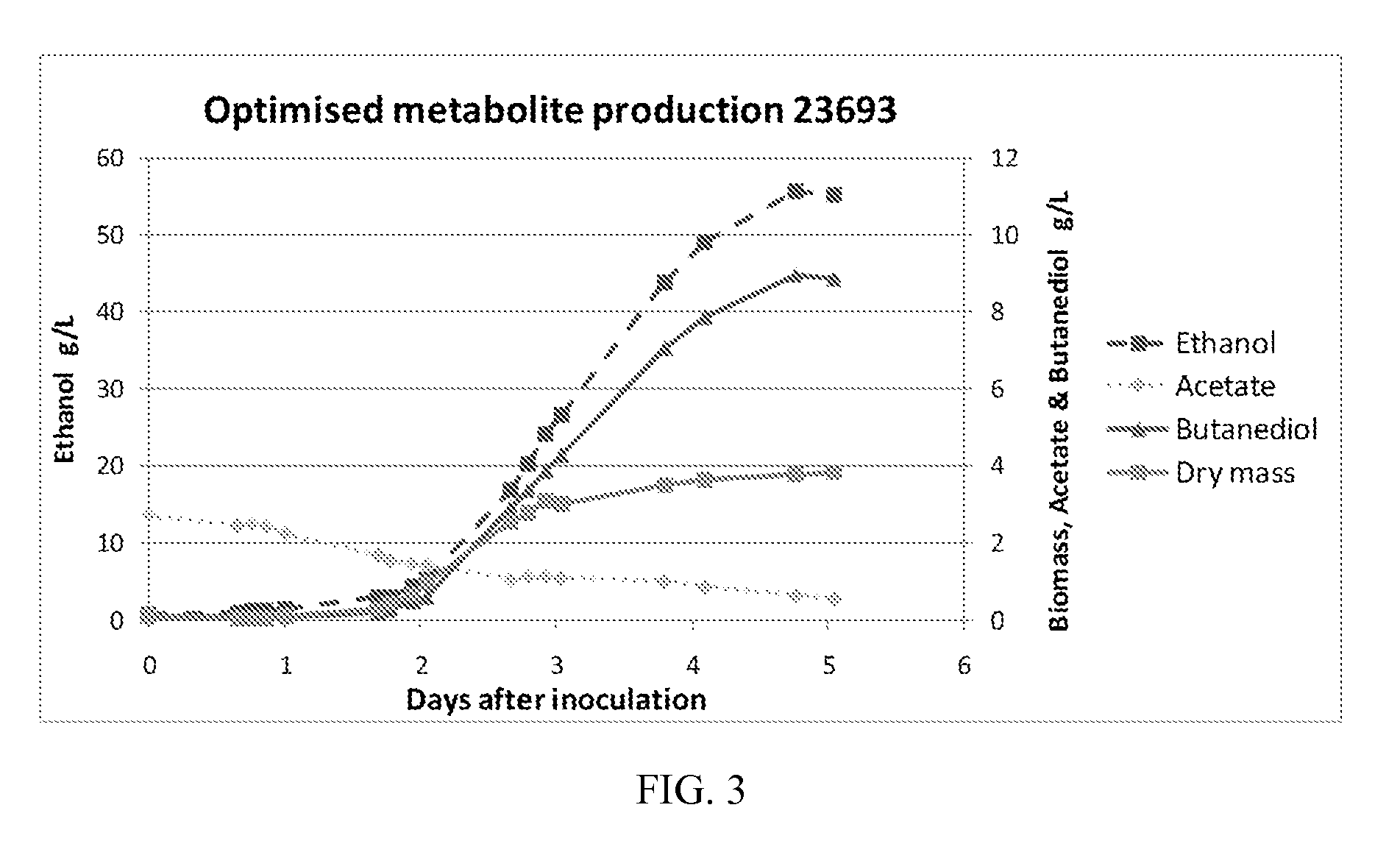 Novel bacteria and methods of use thereof