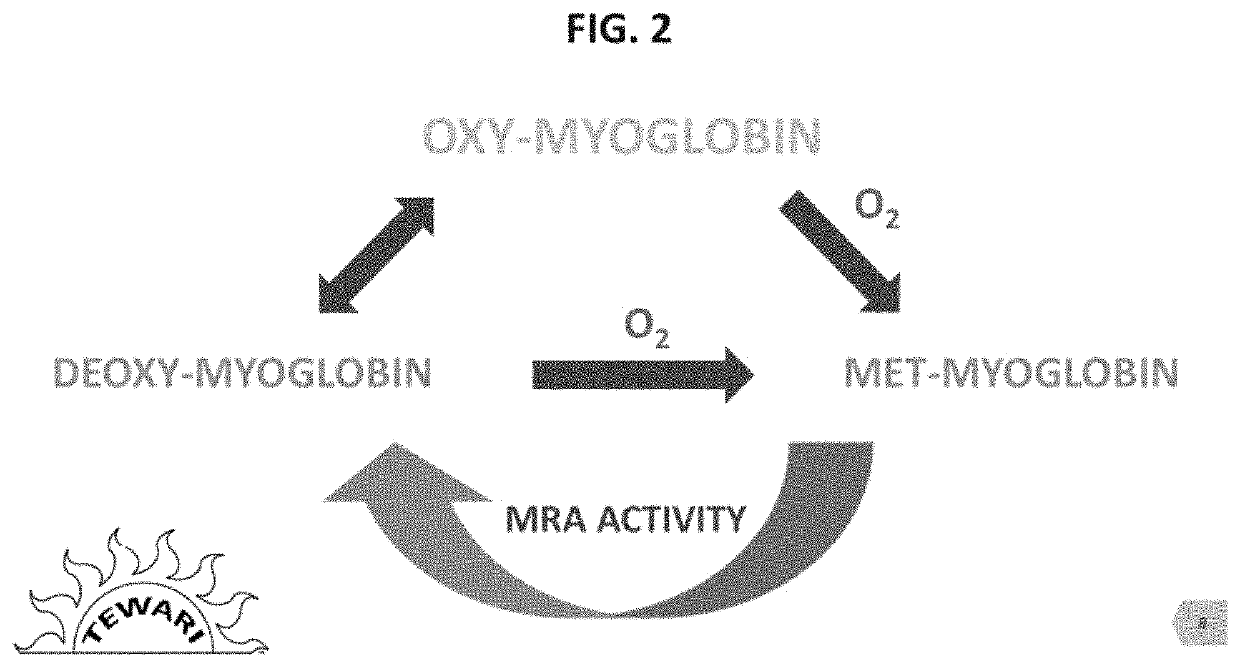 Zero-OxTech® Process for preservation of enzymes in the protein muscle and its applications