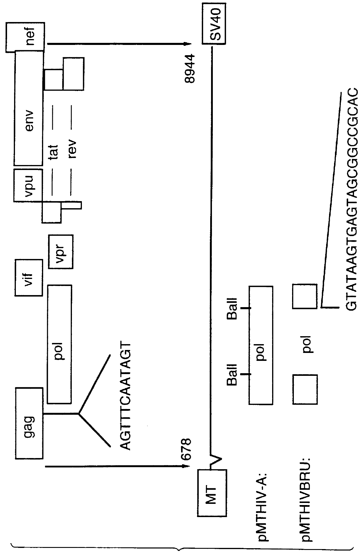 Methods for the detection of HIV-specific immune responses employing non-infectious, non-replicating, HIV retrovirus-like particles containing heterologous antigenic markers