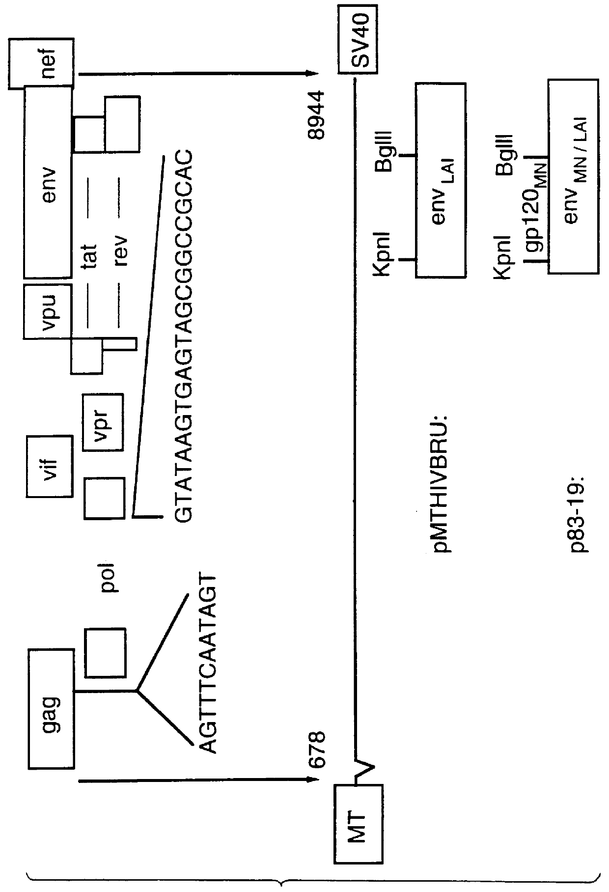 Methods for the detection of HIV-specific immune responses employing non-infectious, non-replicating, HIV retrovirus-like particles containing heterologous antigenic markers