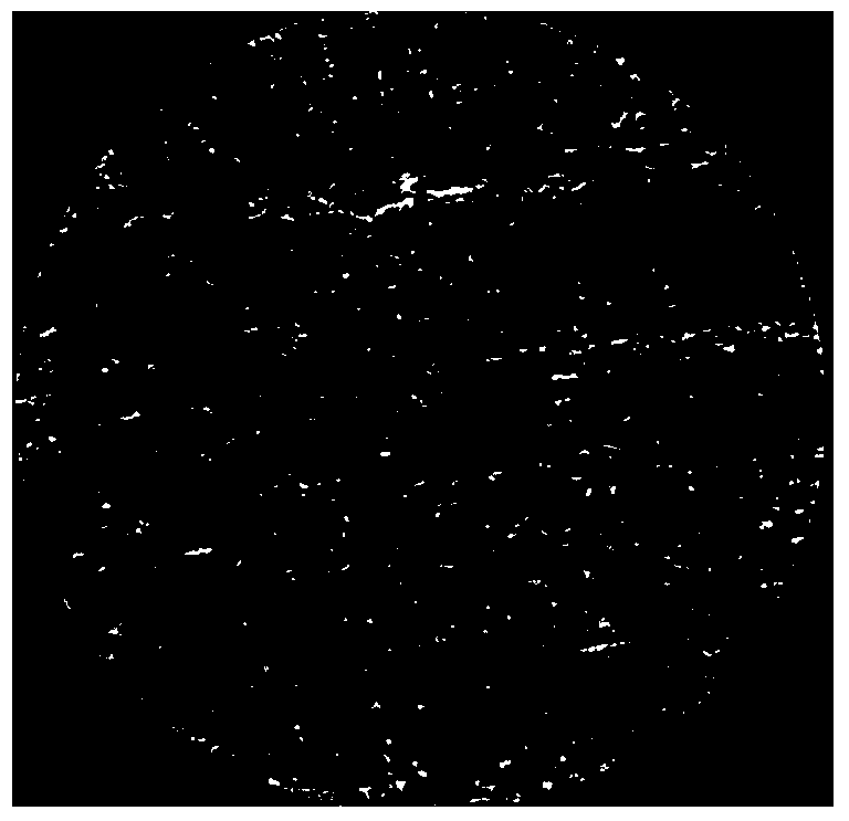 Multi-component 3D digital core construction method based on multi-source information fusion