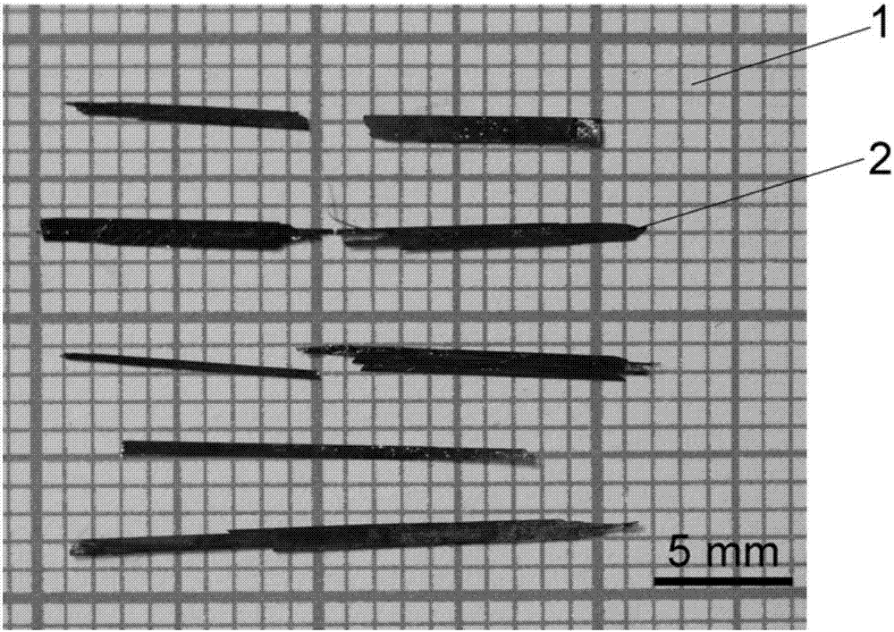 HfTe5-delta crystal with giant magnetoresistance and growth method thereof