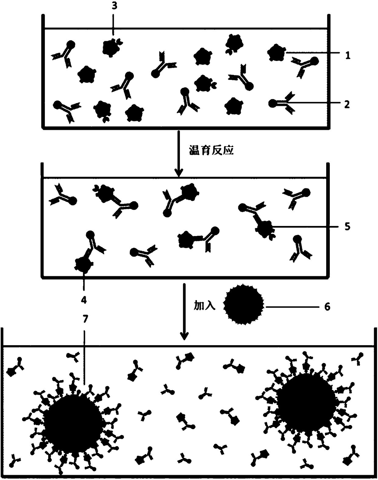 Immunoreaction double-pulse detection method for metal ion marker