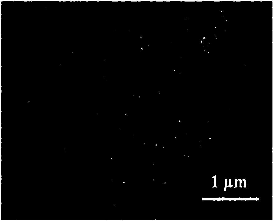 Surface-enhanced Raman scattering active substrate and preparation method thereof