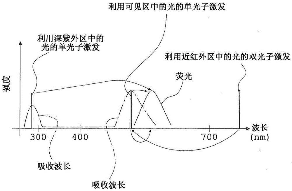 Fluorescence observation method and fluorescence observation equipment