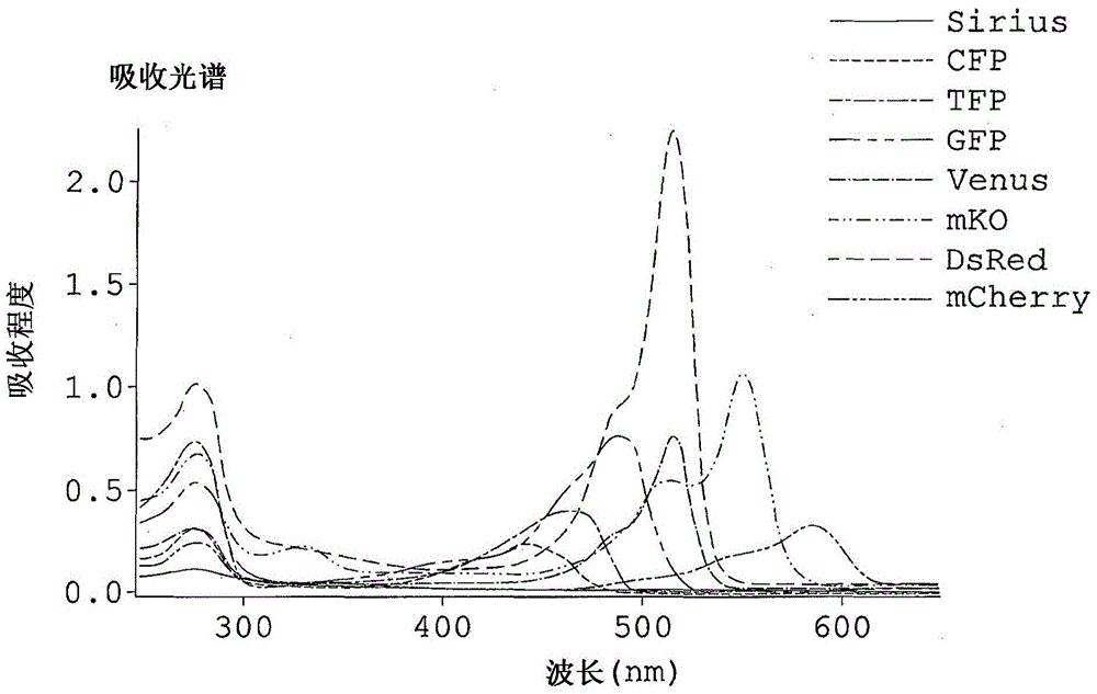 Fluorescence observation method and fluorescence observation equipment