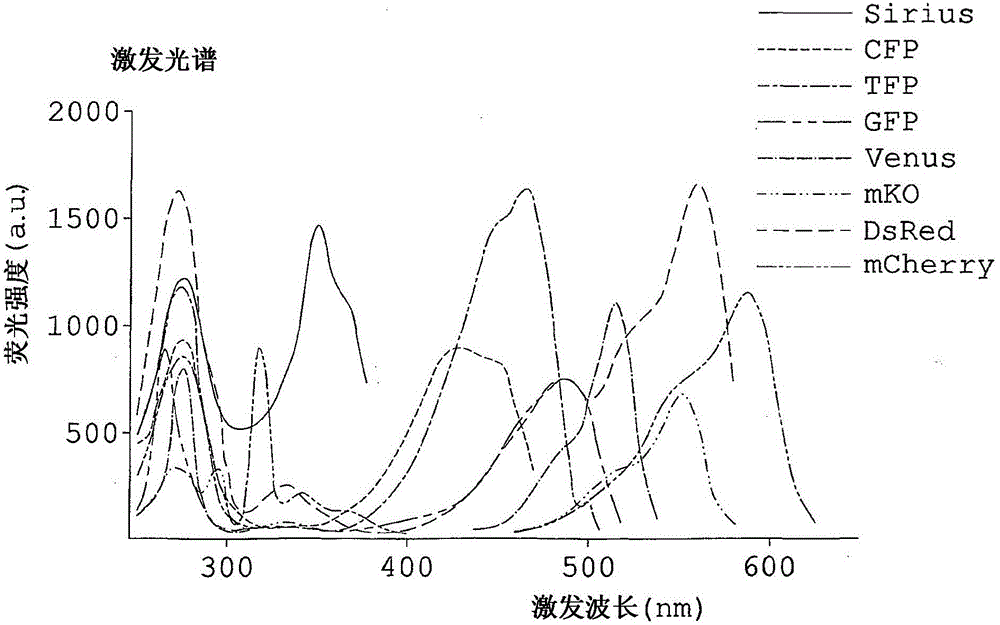 Fluorescence observation method and fluorescence observation equipment