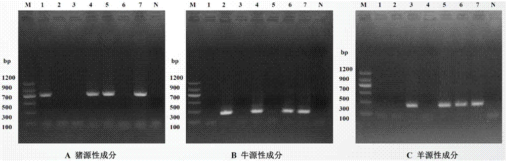 Kit, method and primer pair for identifying animal-derived ingredients in crude protein-type biochemical material