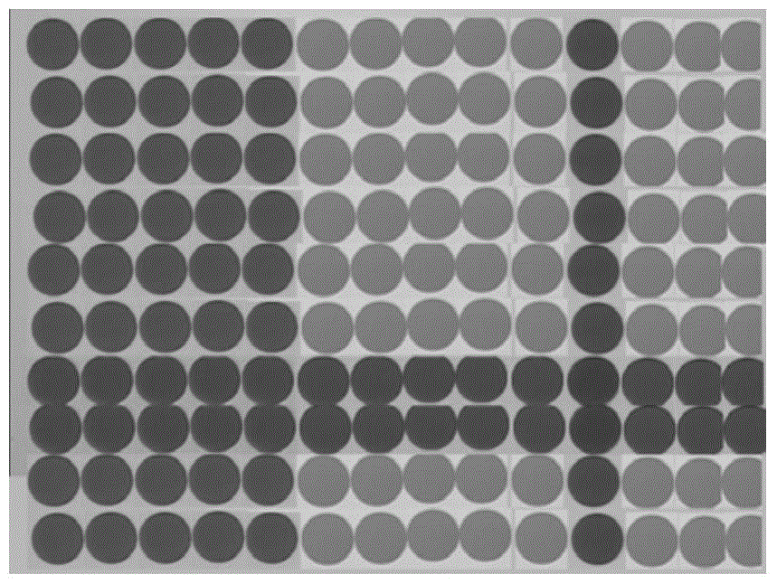 Sub-pixel rapid recognition method of batch group circle vector based on region movement