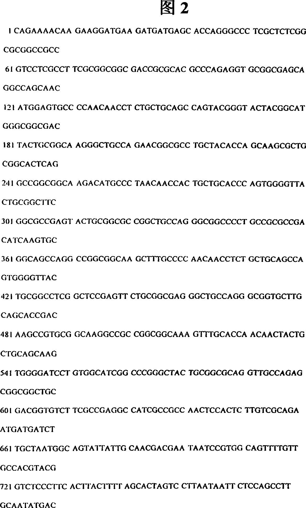 Cotton cells, plants and seeds genetically engineered to express insecticidal and fungicidal chitin binding proteins (lectins)