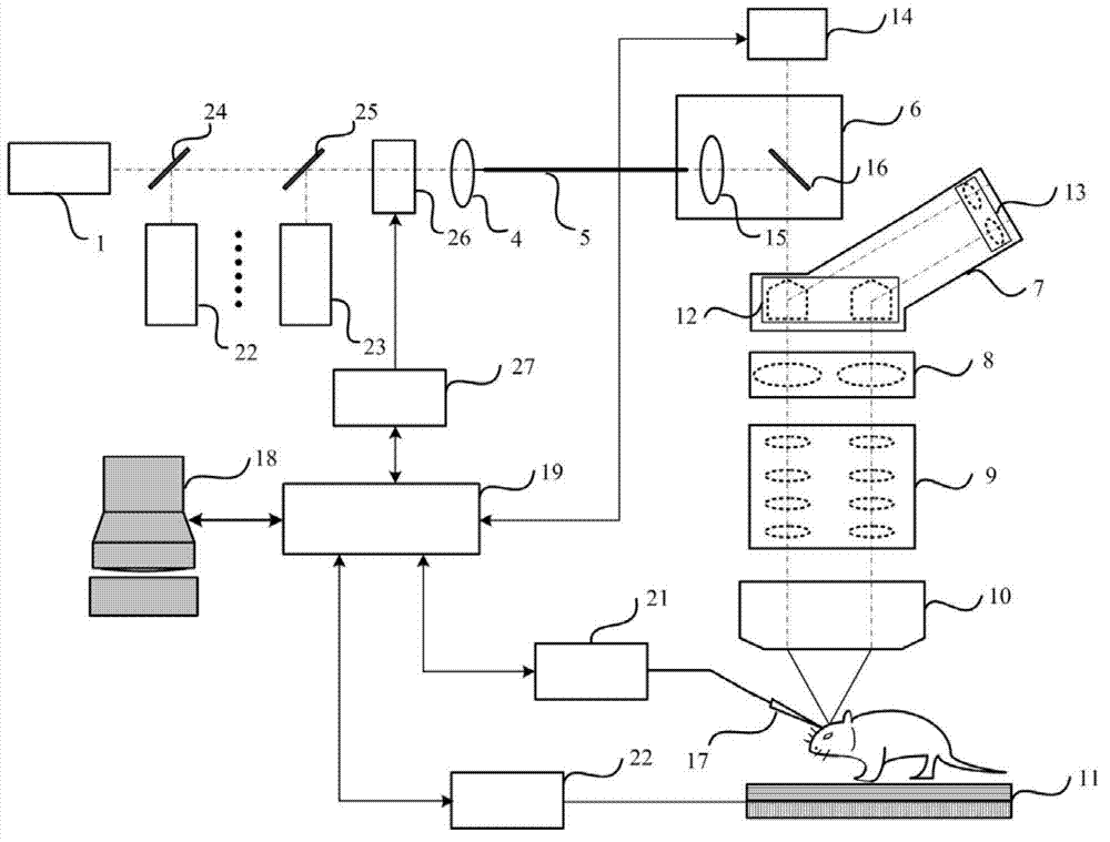 System for researching of functions of neural circuits and regulation of animal behaviors and activities