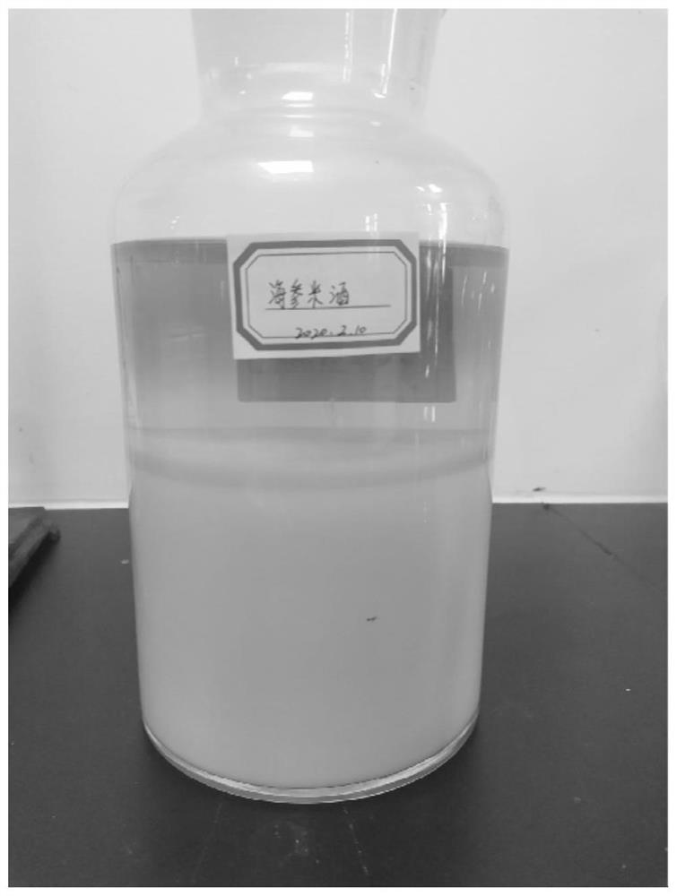 Traditional Chinese medicine composition co-fermented rice wine and preparation method thereof