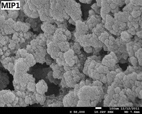 Preparation method for enrofloxacin molecular imprinting monolithic column