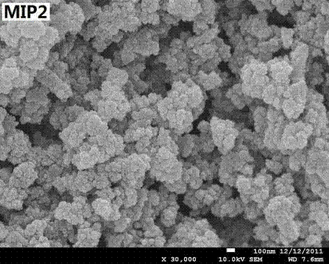 Preparation method for enrofloxacin molecular imprinting monolithic column