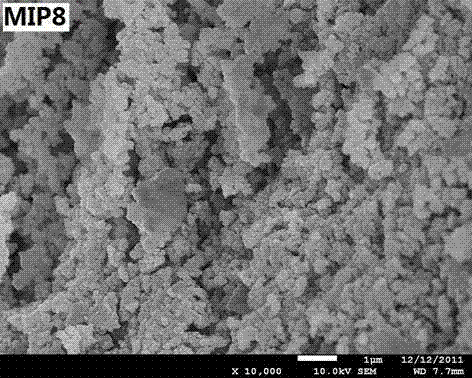 Preparation method for enrofloxacin molecular imprinting monolithic column