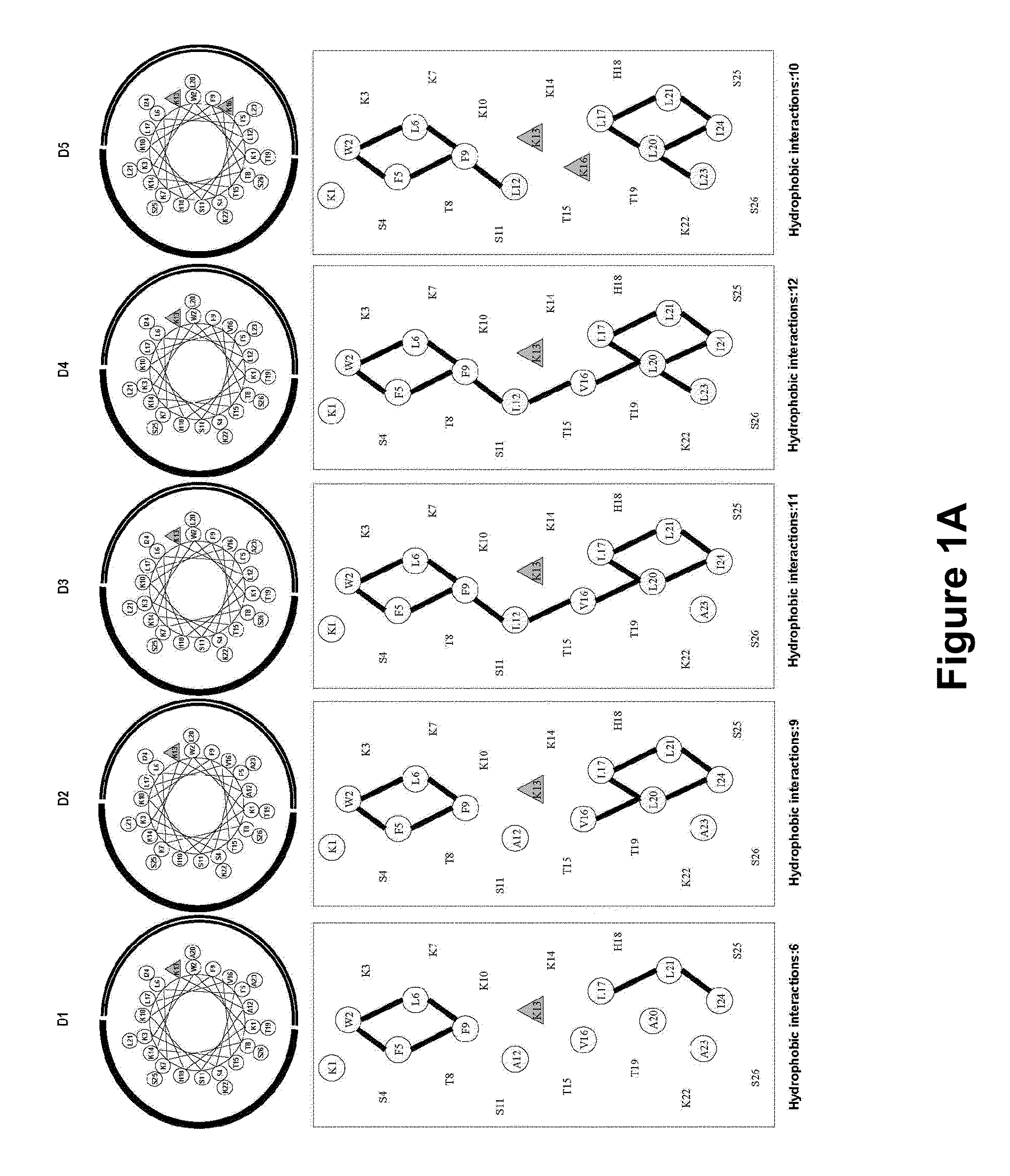 Antimicrobial Peptides and Methods of Use