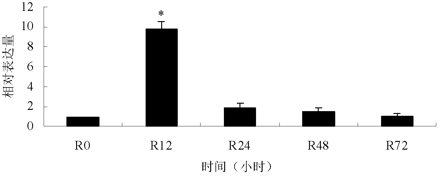 GhPAO gene, and encoding protein thereof and application thereof to resistance to plant verticillium wilt