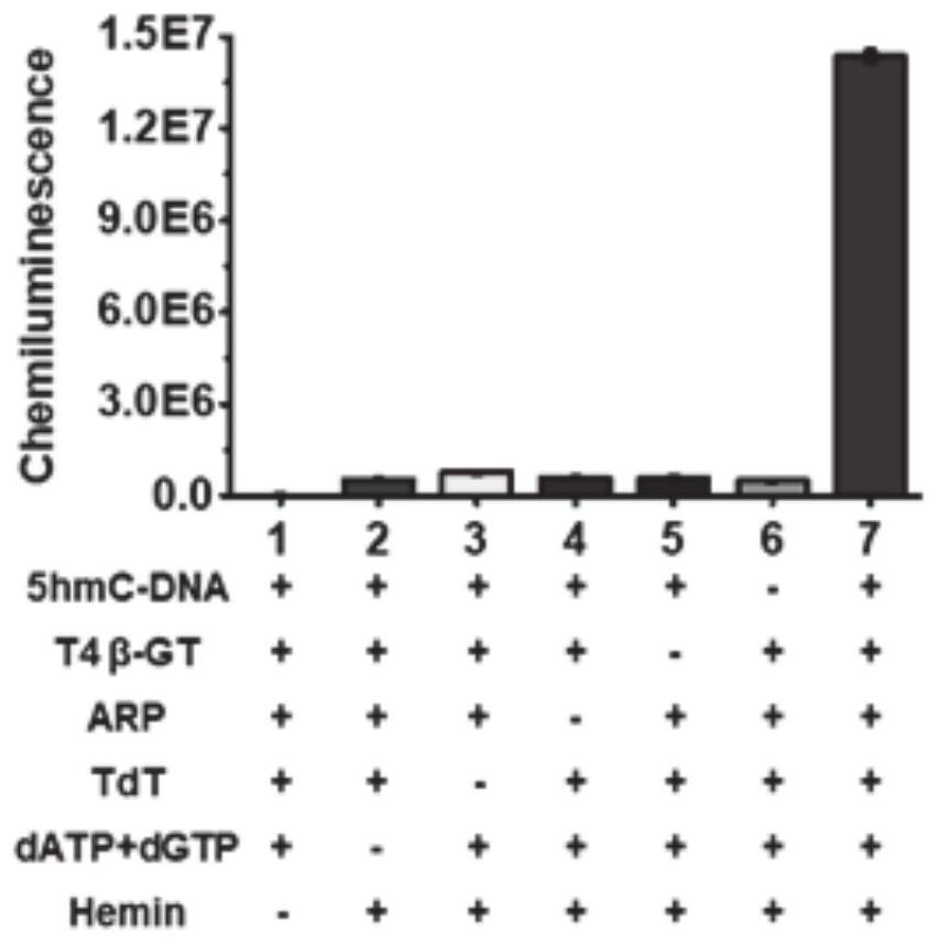 A chemiluminescent biosensor for detecting 5-hydroxymethylcytosine, its detection method and application