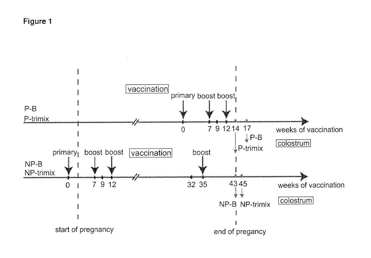 Methods and compositions for inhibiting HIV transmission