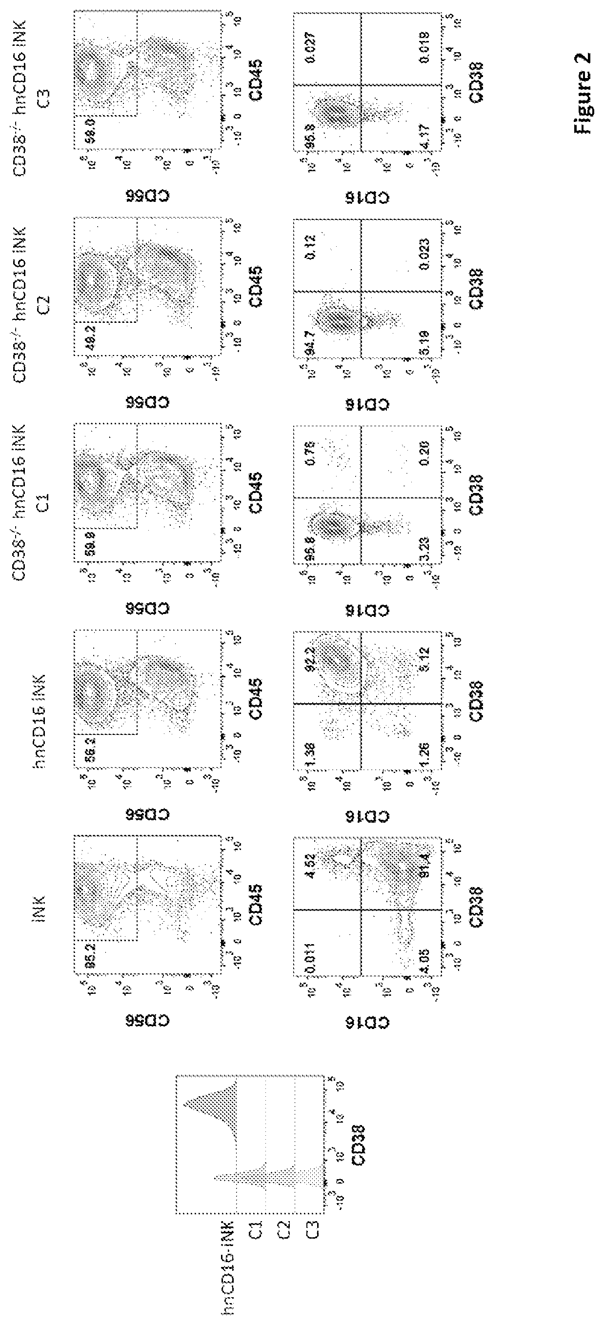 Engineered immune effector cells and use thereof