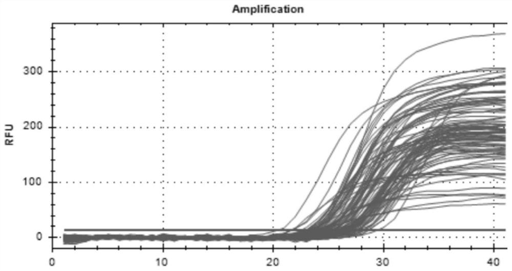 A detection method and application of goat mylk4 gene cnv marker