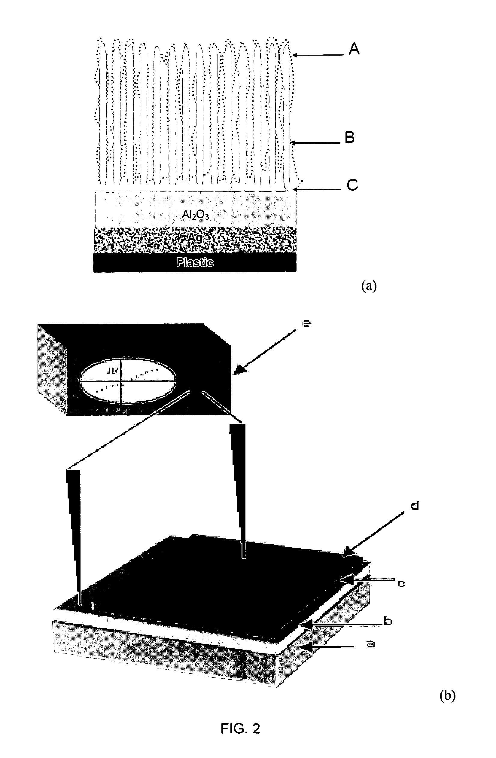 Bio-sensitized solar cells (BSSC)