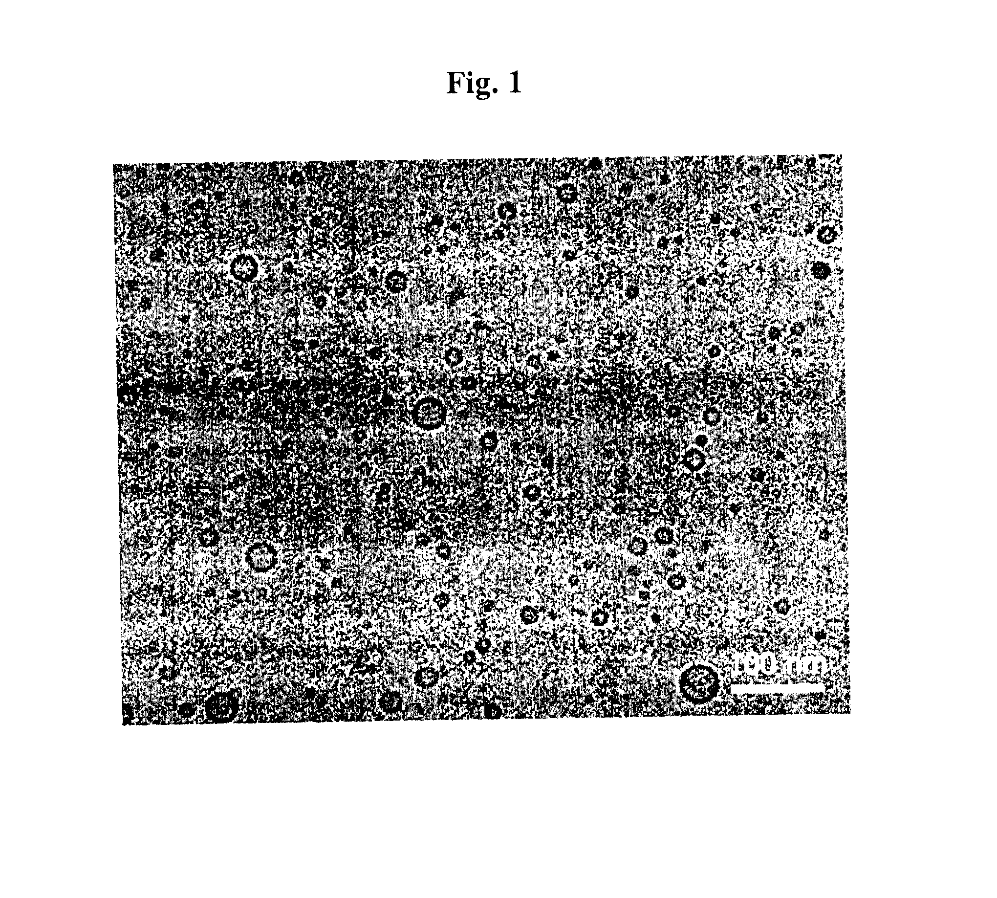 Near infrared fluorescent particles and uses thereof
