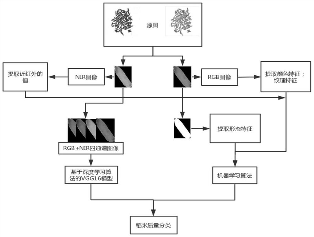 Rice phenotype monitoring system and method based on machine vision technology