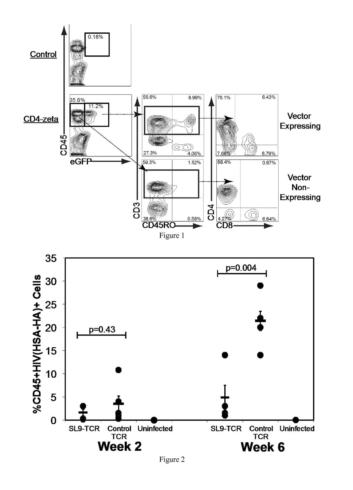 Engineering antiviral T cell immunity through stem cells and chimeric antigen receptors
