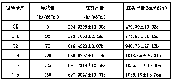 Special functional urea formaldehyde fertilizer for garlic and preparation method thereof