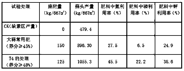 Special functional urea formaldehyde fertilizer for garlic and preparation method thereof
