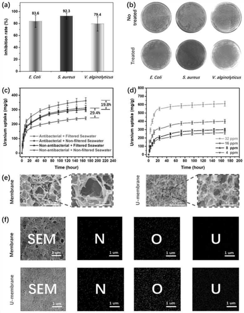 Antibacterial high-strength ultrathin composite membrane material, preparation method thereof, and application of material in uranium enrichment in uranium-containing wastewater or seawater
