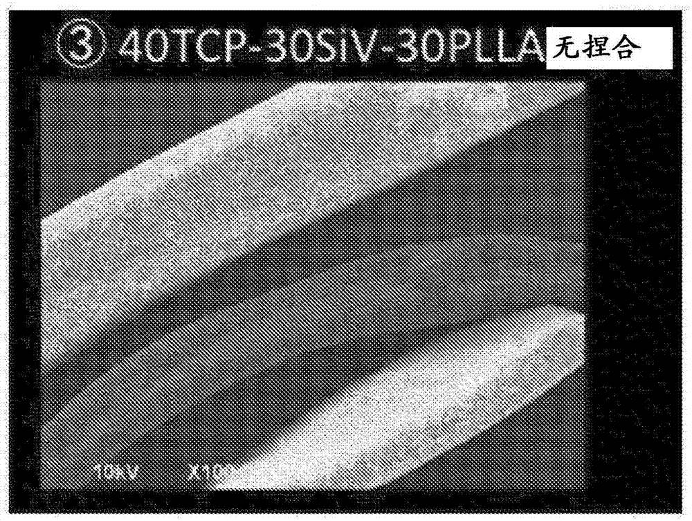 Method for manufacturing drug-containing biodegradable fiber material by electrospinning