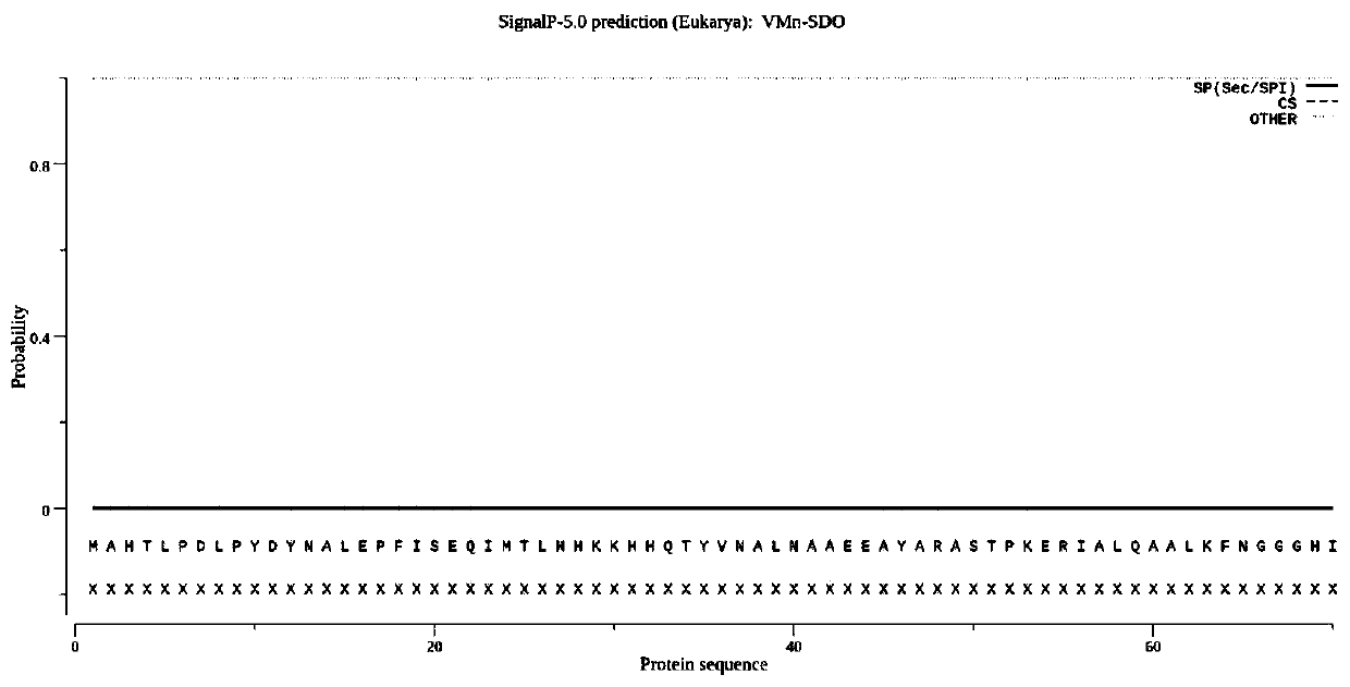 The application of manganese superoxide dismutase vmn-sod of variegated mushroom in improving the stress tolerance of microorganisms