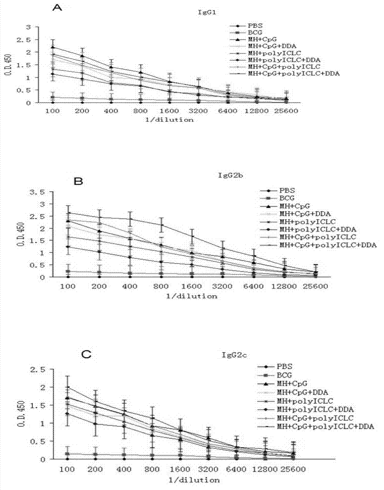 Compound adjuvant for tuberculosis subunit vaccine, tuberculosis subunit vaccine from same and preparation method and application thereof