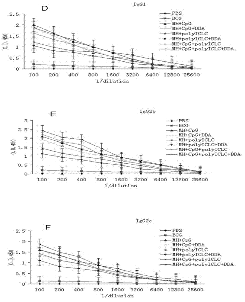 Compound adjuvant for tuberculosis subunit vaccine, tuberculosis subunit vaccine from same and preparation method and application thereof