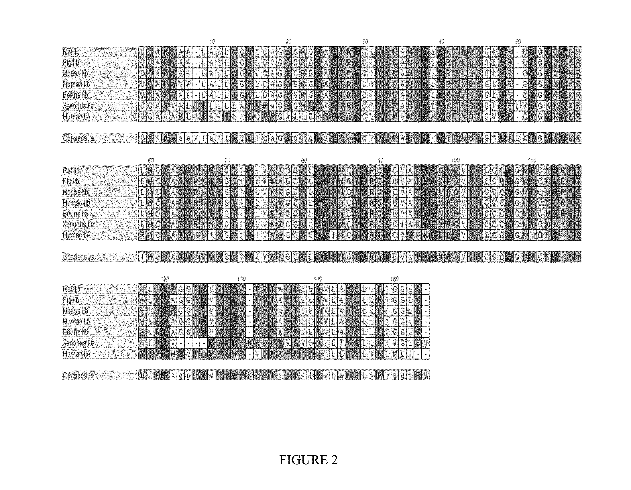 Methods for increasing red blood cell levels and treating ineffective erythropoiesis