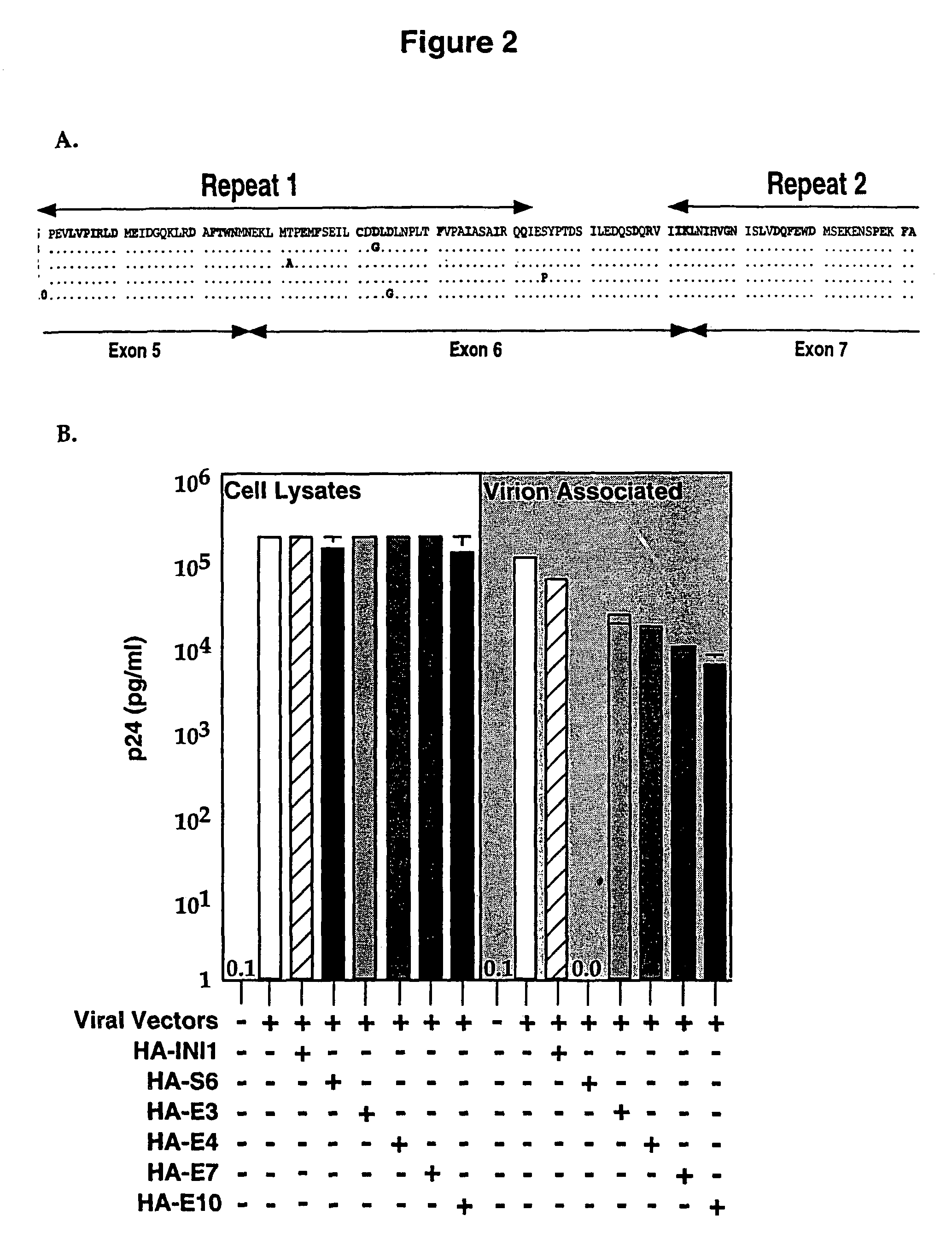 Inhibition of HIV-1 virion production by a transdominant mutant of integrase interactor 1(INI1)/hSNF5