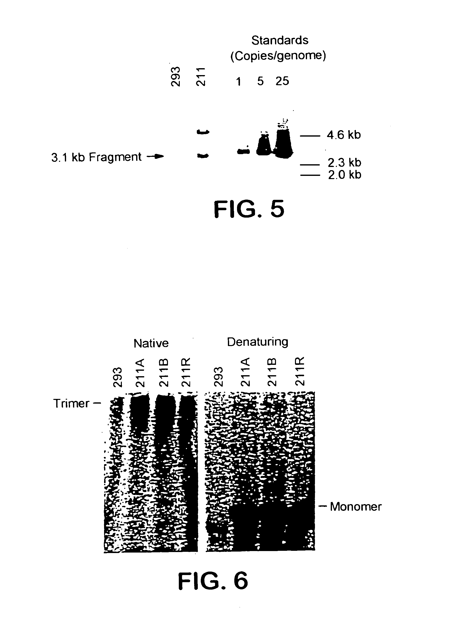 Adenovirus vectors, packaging cell lines, compositions, and methods for preparation and use