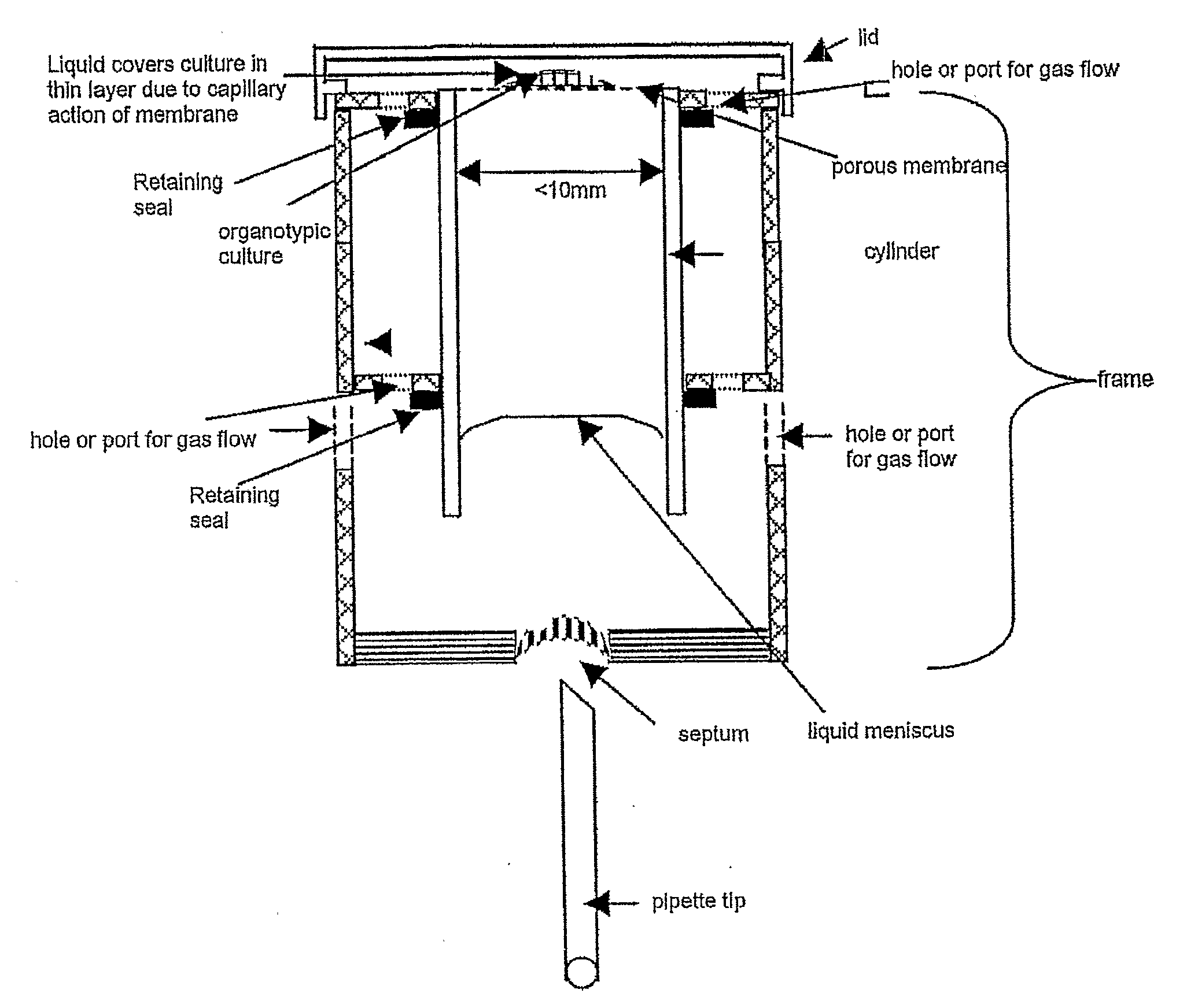 Cell- and Tissue Culture Device