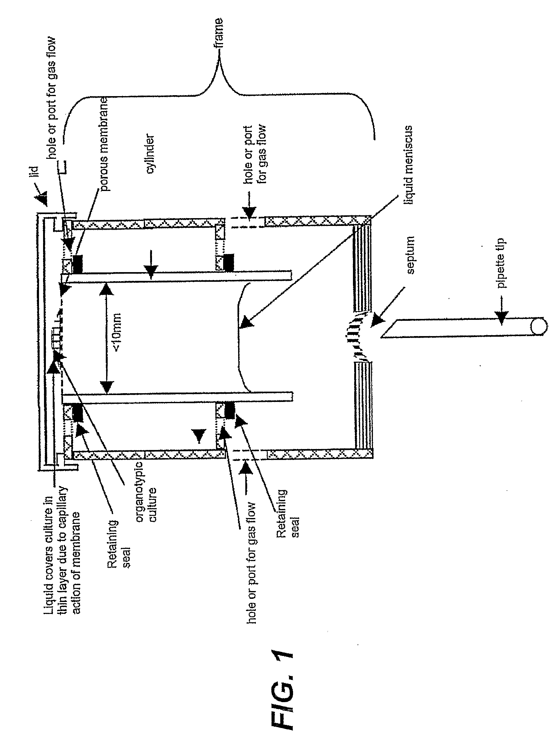 Cell- and Tissue Culture Device