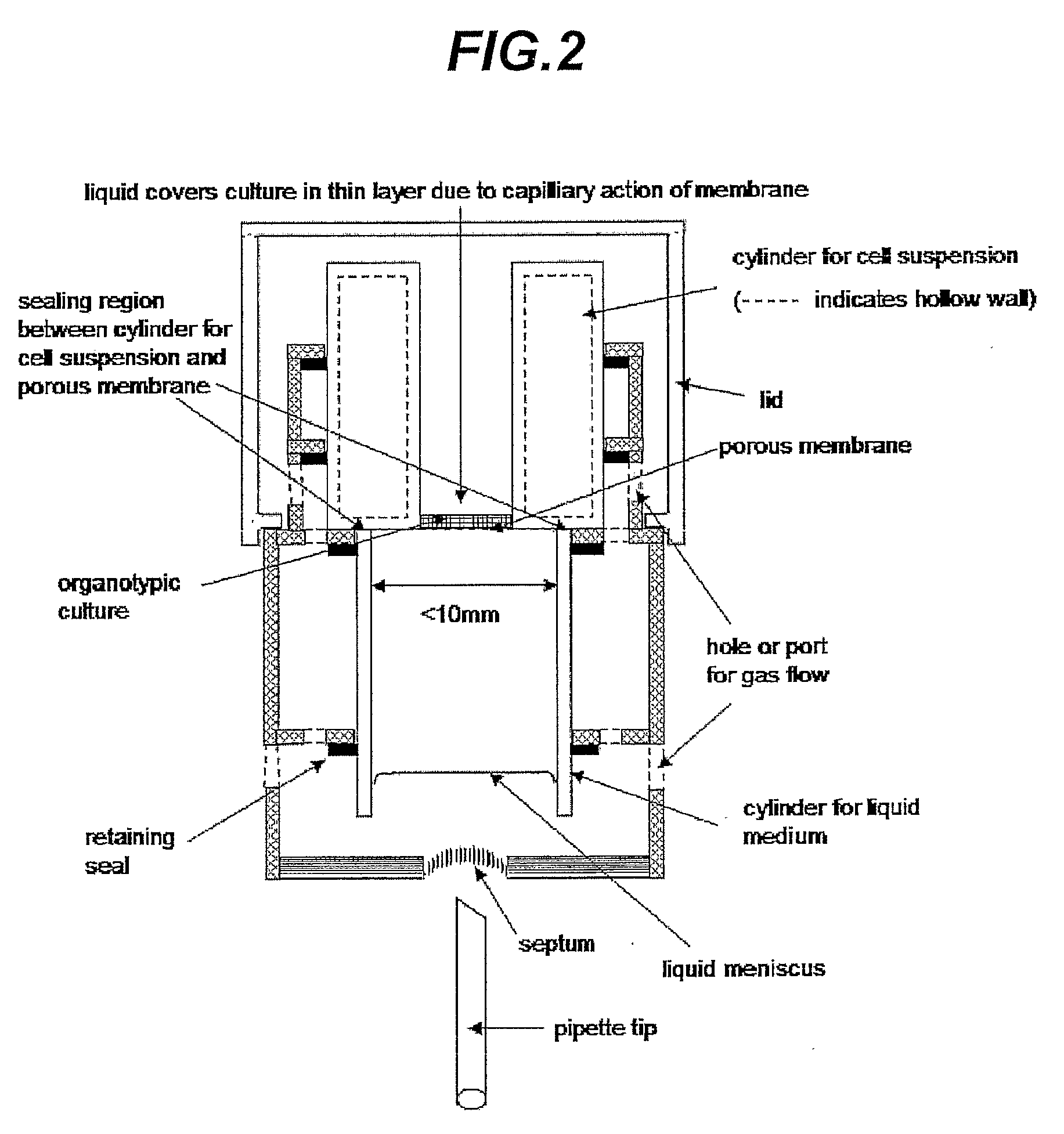 Cell- and Tissue Culture Device