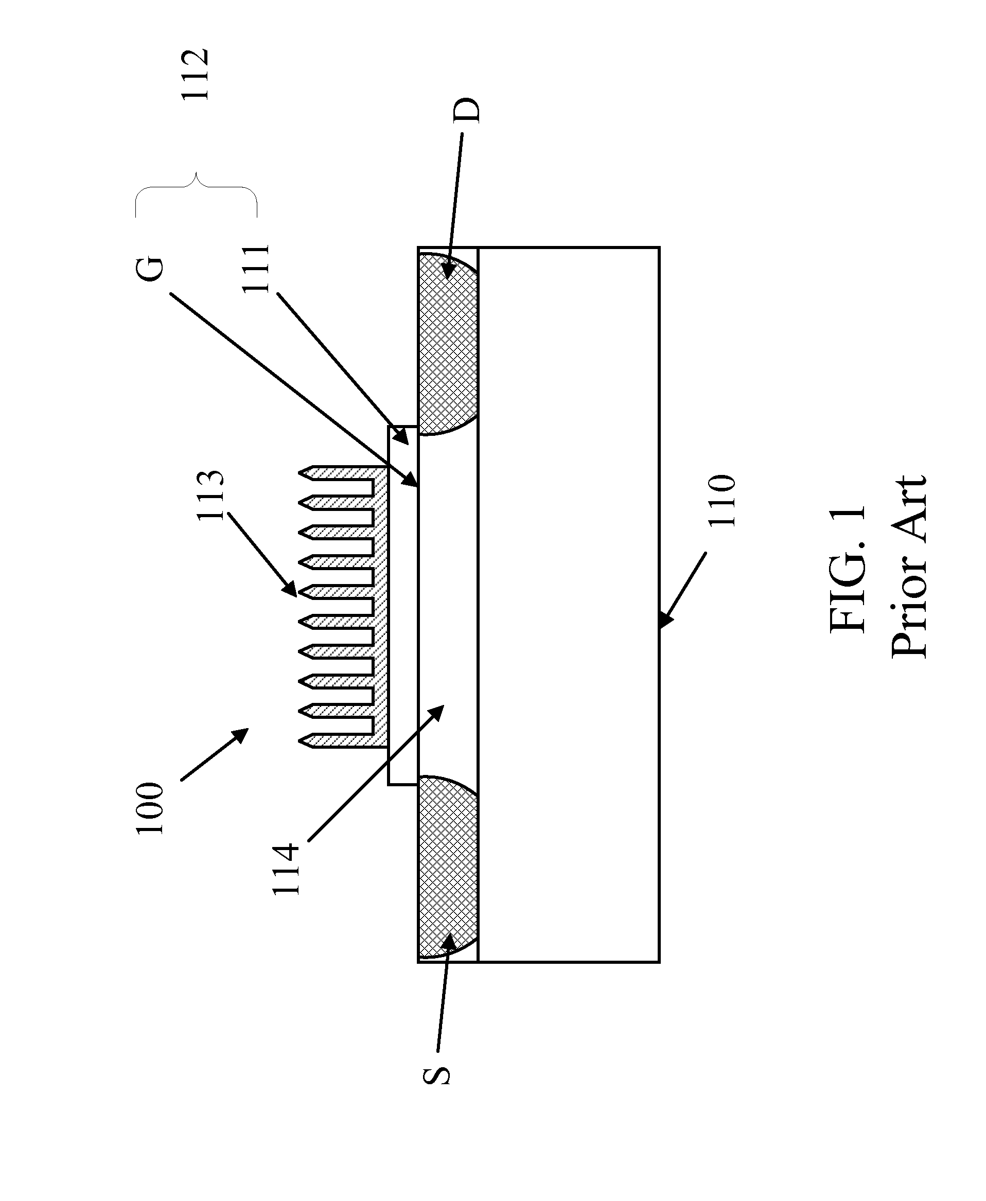 Biosensor with dual gate structure and method for detecting concentration of target protein in a protein solution