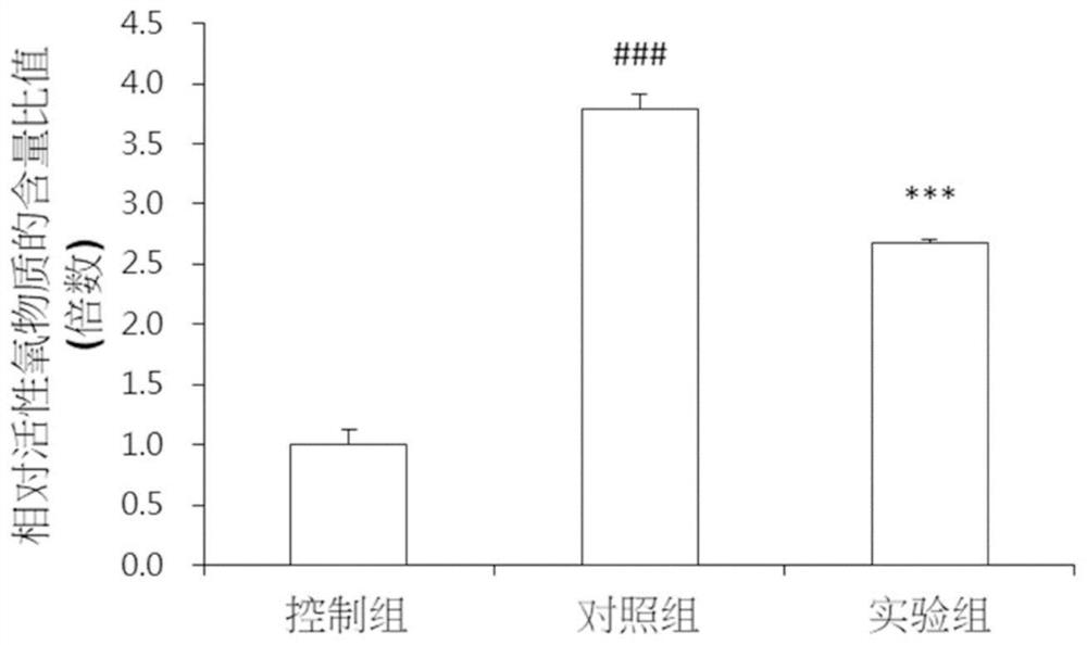 Application of rubus corchorifolius juice in preparing composition for conditioning skin