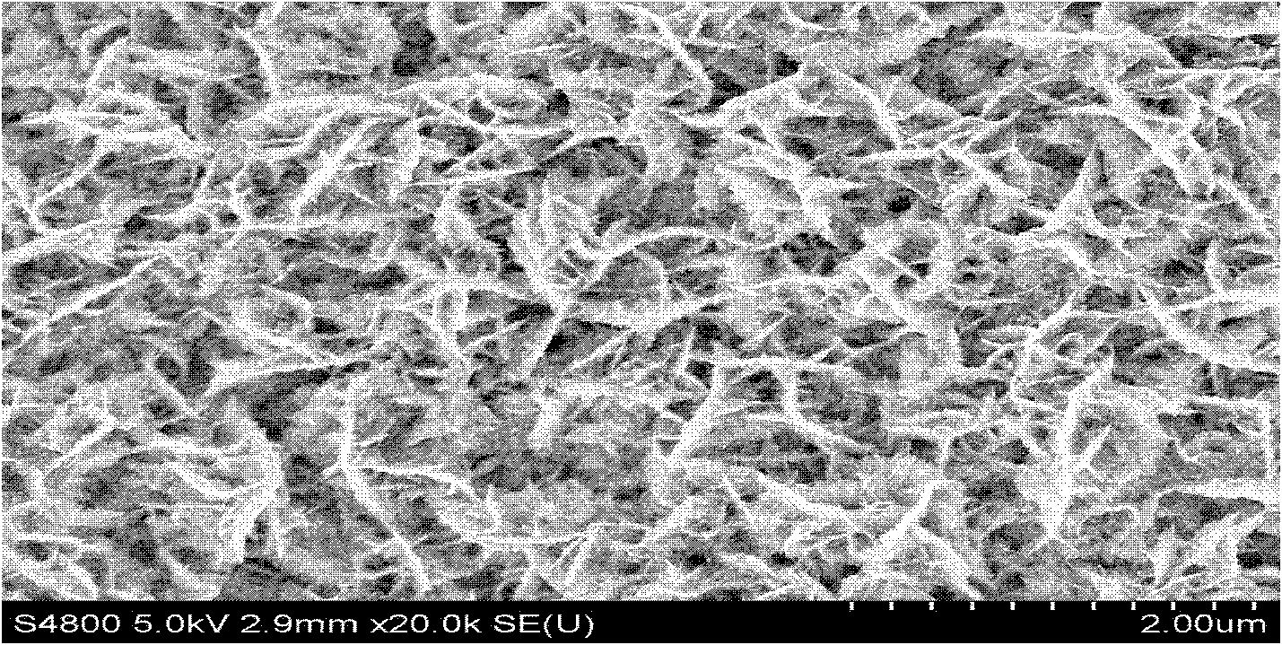 Bi2S3/TiO2 nanotube array and preparation method thereof