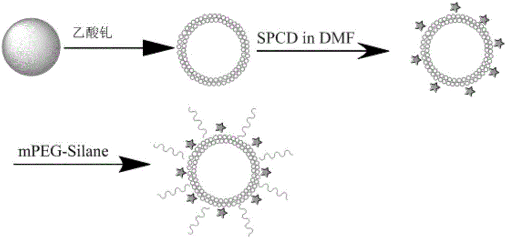 Gadolinium-doped hollow vesicle structure nanocomposite, and preparation and application thereof