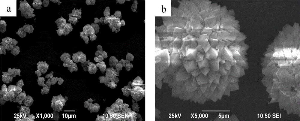 Method for synthesizing flower-ball-shaped bismuth phosphate nano-powder photocatalyst by microwave hydrothermal process