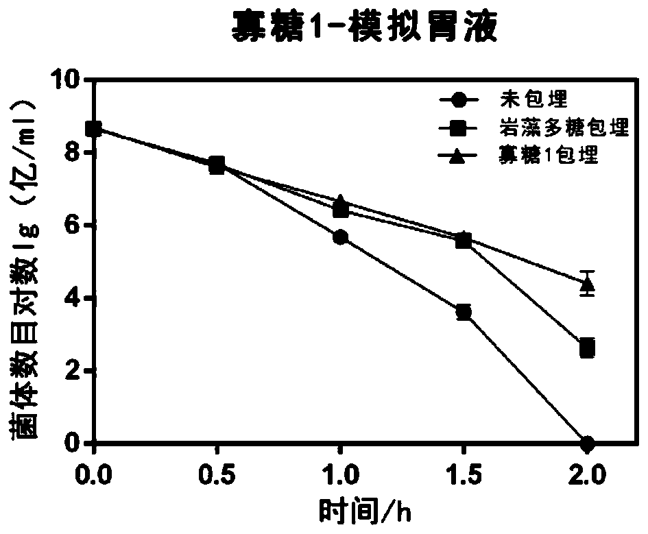Application of fucoidin and hydrolyzed oligosaccharide thereof in preparing probiotic protection agent and method